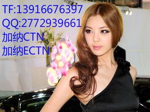 加纳芽依高清在线视频,高清在线视频中的异域风情与视觉盛宴