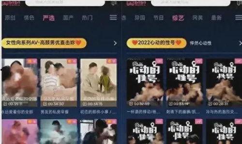 成年在线视频相关网站,内容丰富，监管严格