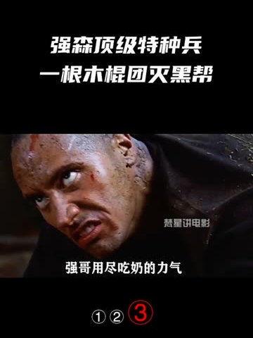 顶级特工在线视频,在线视频中的惊险刺激与智慧较量