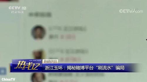 国产流水在线视频,科技赋能下的高效生产线揭秘