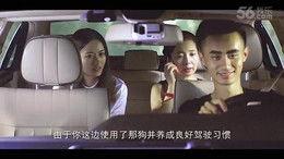 宅男视频在线视频,揭秘虚拟世界中的宅文化盛宴