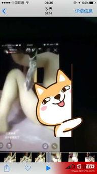 黄鳝门在线视频观看,揭秘网络直播的暗流涌动