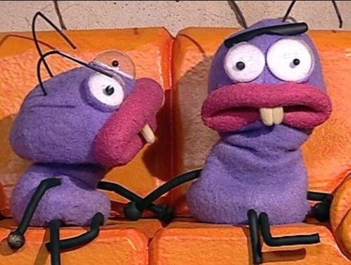 西班牙蚂蚁窝在线视频,揭秘自然界的奇妙建筑