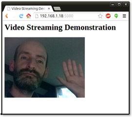flask实现在线视频