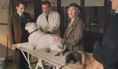 蹂躏折磨在线视频,揭秘在线视频中的黑暗面